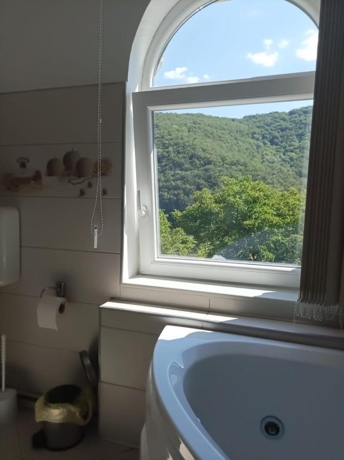 Hotel Casa Victoria Anina Zewnętrze zdjęcie